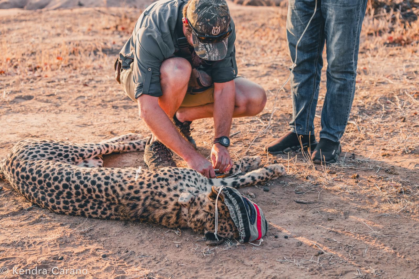 Ethical Wildlife Safari Styles