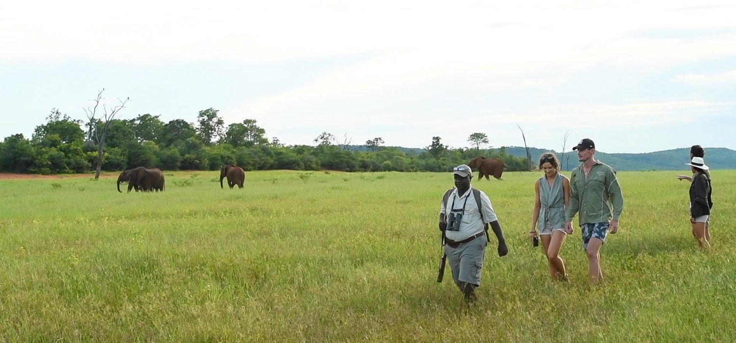 Credit: Bumi Hills Safari Lodge, Zimbabwe