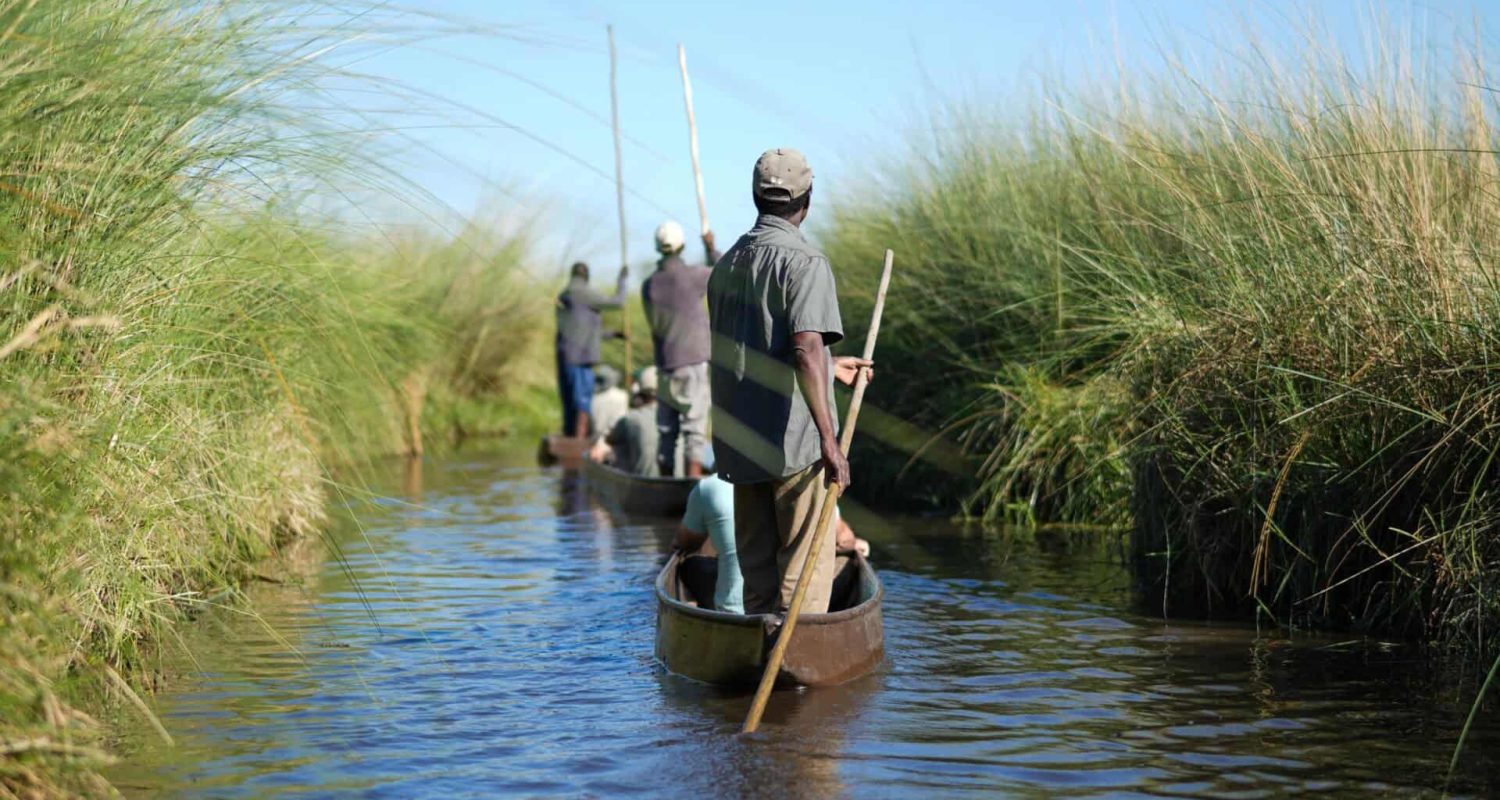 A mokoro (traditional canoe) safari in Botswana by African Bush Camps Atzaro
