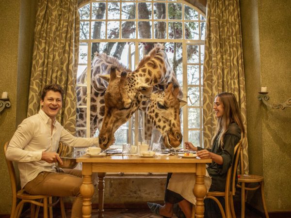 Credit: Giraffe Manor, Kenya