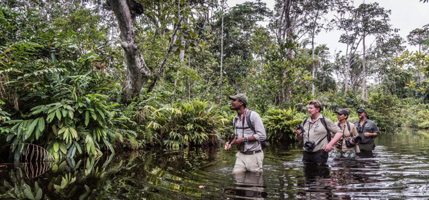 Credit: Lango Lodge, Congo
