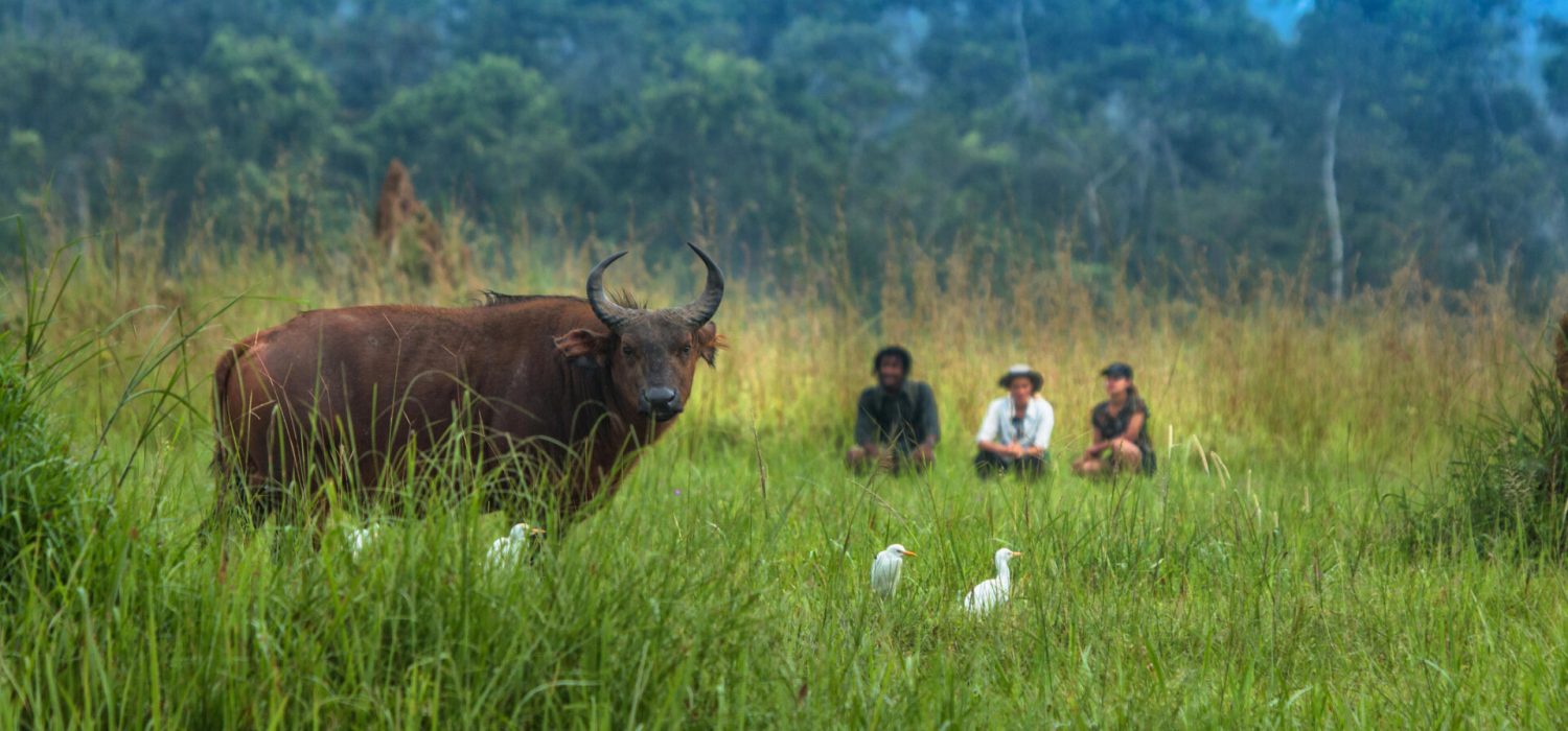 Credit: Mboko Lodge, Congo