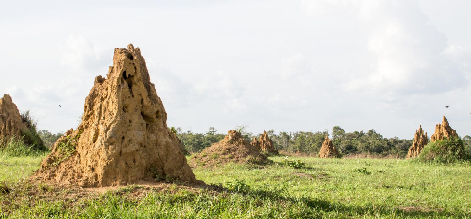 Credit: Mboko Lodge, Congo