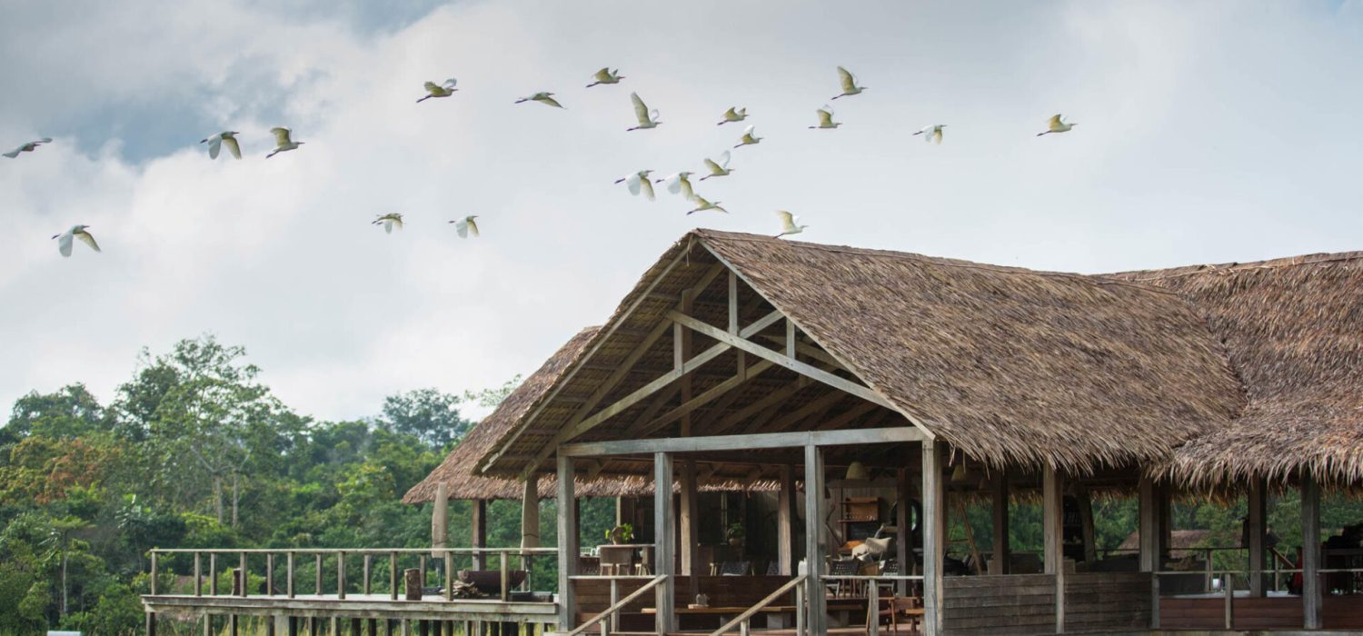 Credit: Mboko Lodge, Congo