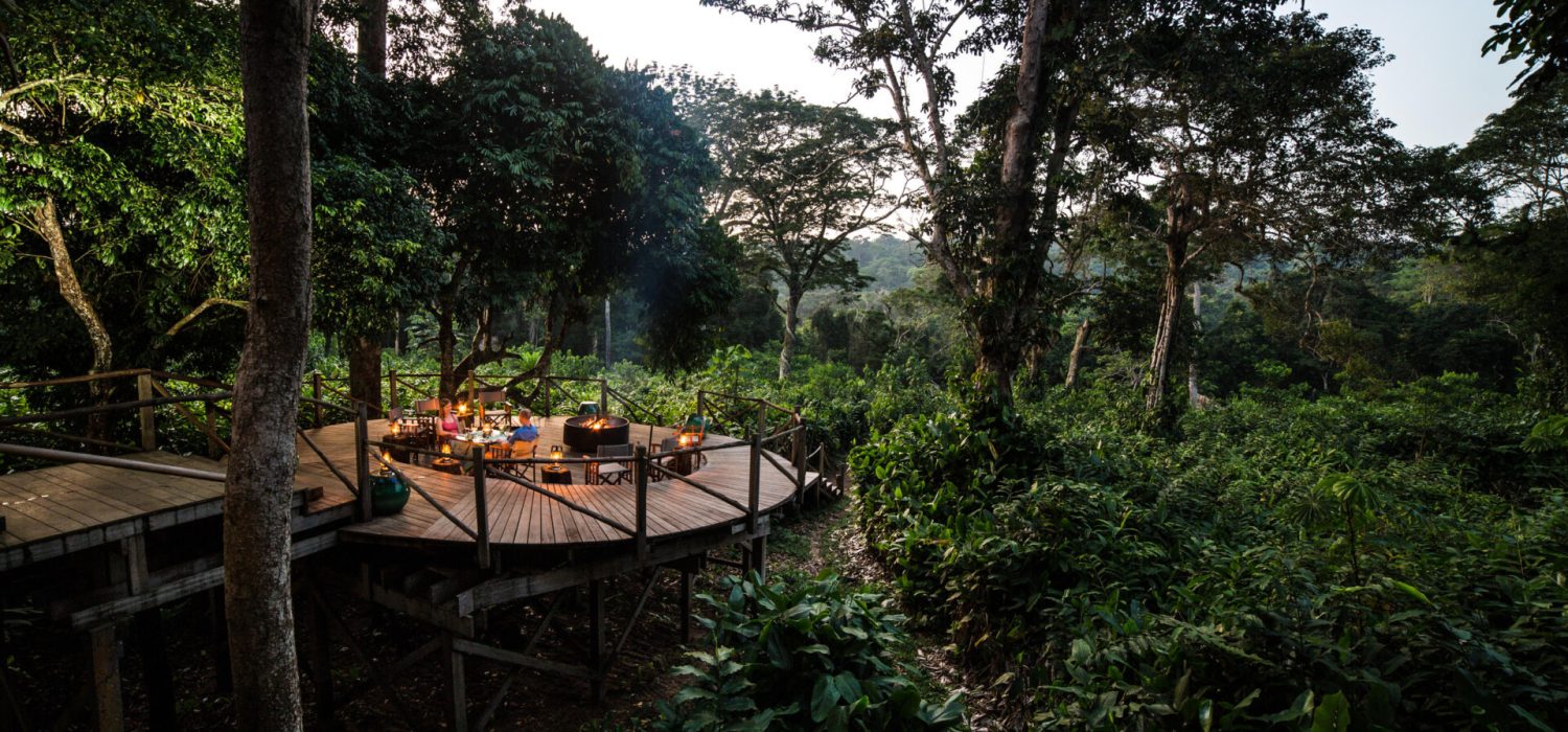 Credit: Ngaga Lodge, Congo