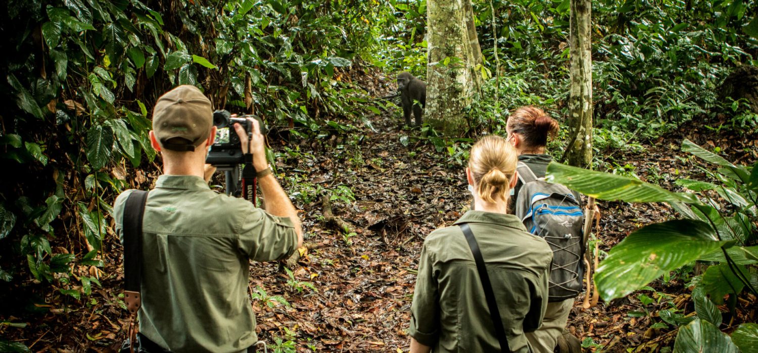 Credit: Ngaga Lodge, Congo