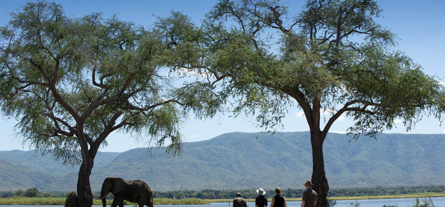 Credit: Bush Camp Nyamatusi , Zimbabwe
