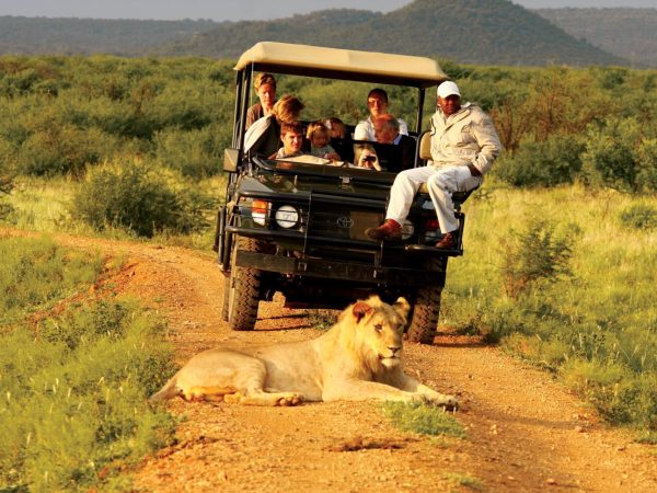 Credit: Madikwe Hills Private Game Lodge, South Africa