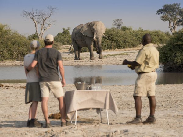 A host prepares to open a bottle of wine for a couple on safari as they stand watching an elephant on the other side of a river in Botswana