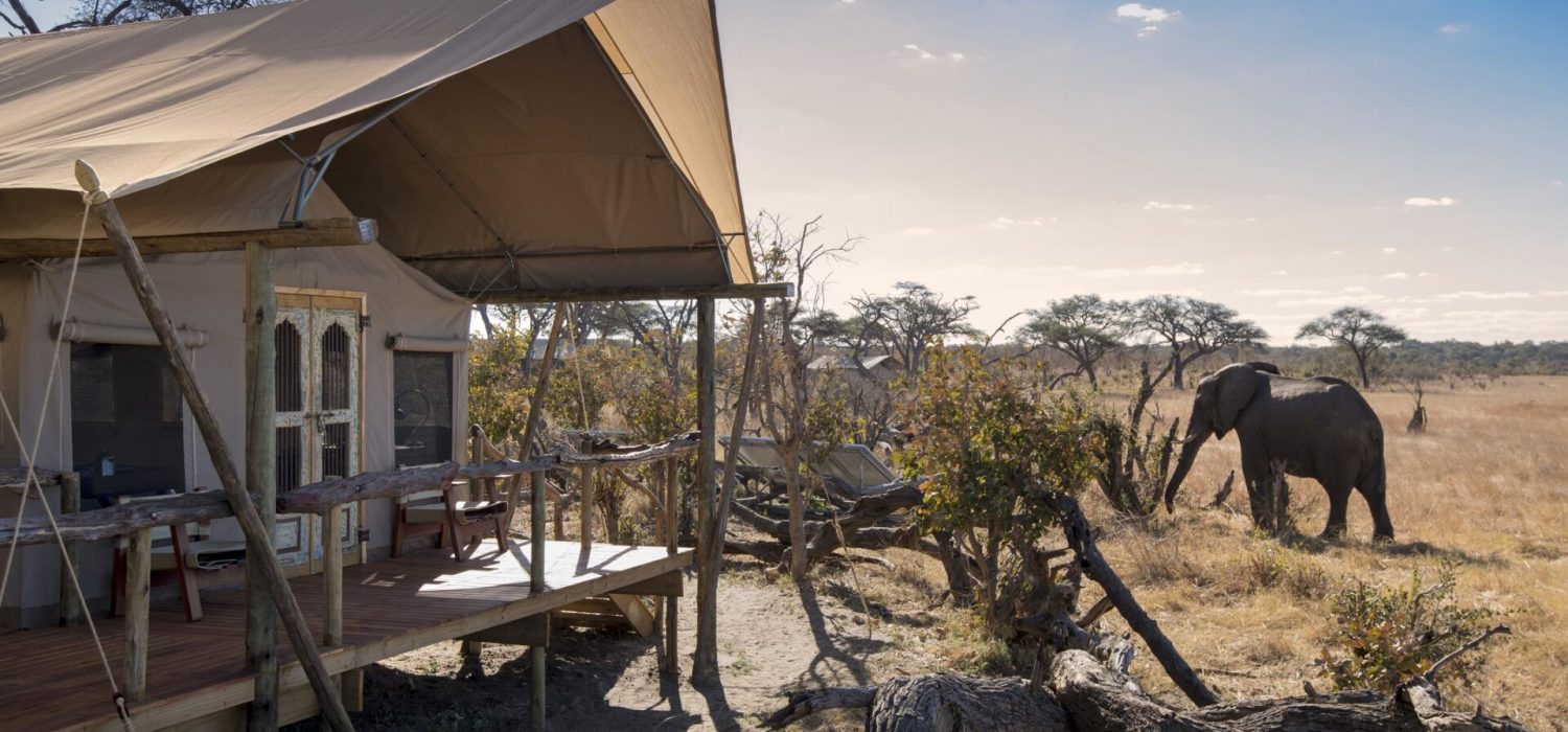 Credit: Bush Camp Somalisa, Zimbabwe