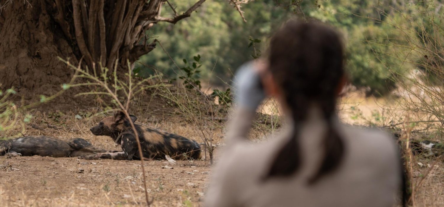 Credit: Bush Camp Zambizi, Zimbabwe