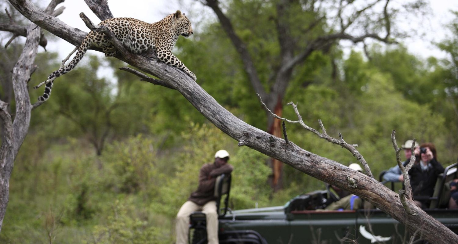 Credit: AndBeyond Kirkmans Kamp, South Africa